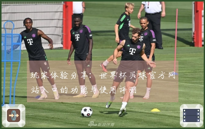 玩家体验分享：世界杯买球官方网站入口的功能与使用评测