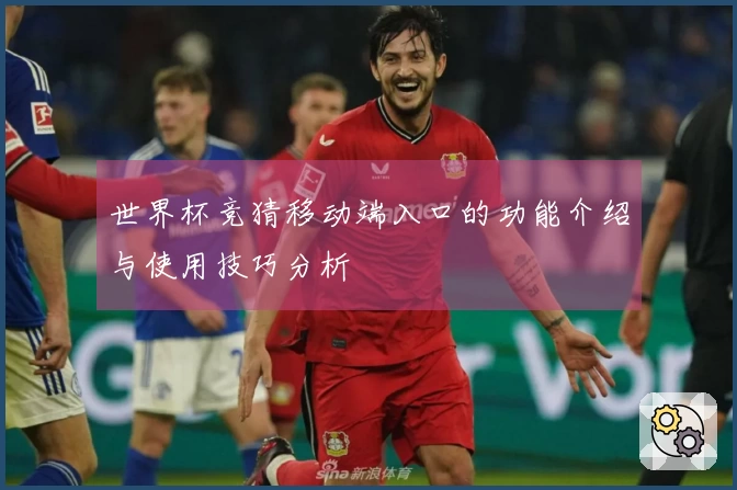 世界杯竞猜移动端入口的功能介绍与使用技巧分析