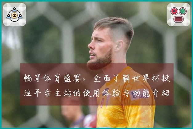 畅享体育盛宴，全面了解世界杯投注平台主站的使用体验与功能介绍