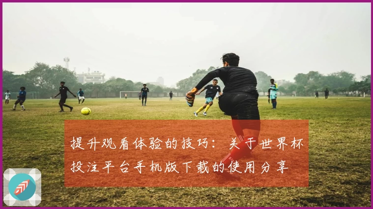 提升观看体验的技巧：关于世界杯投注平台手机版下载的使用分享