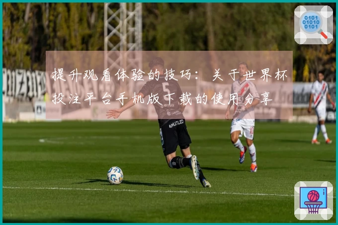 提升观看体验的技巧:关于世界杯投注平台手机版下载的使用分享
